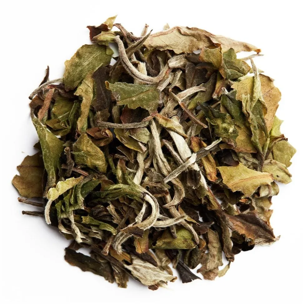 Bai Mu Dan bio