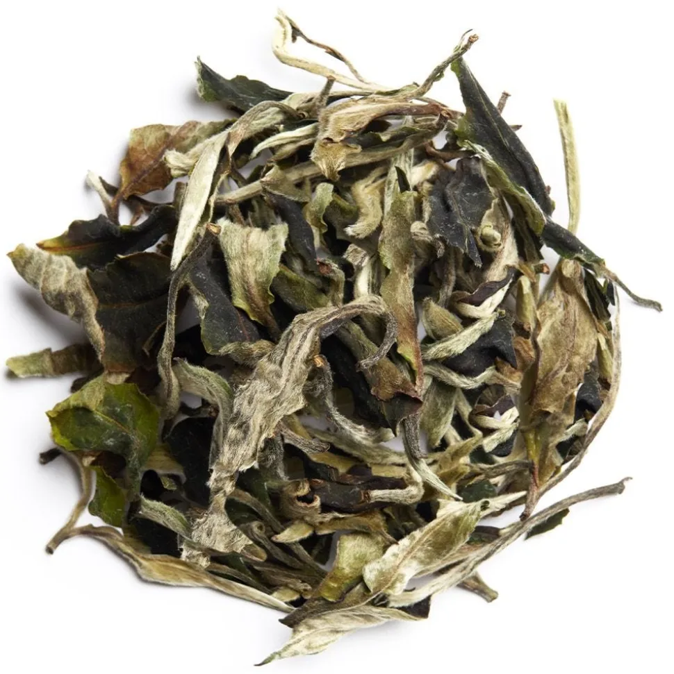 Bai Mu Dan de printemps