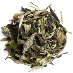 Bai Mu Dan de printemps