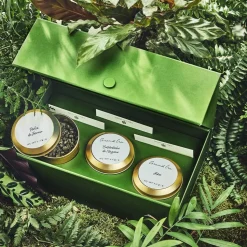 Coffret Grands Crus - Les emblématiques
