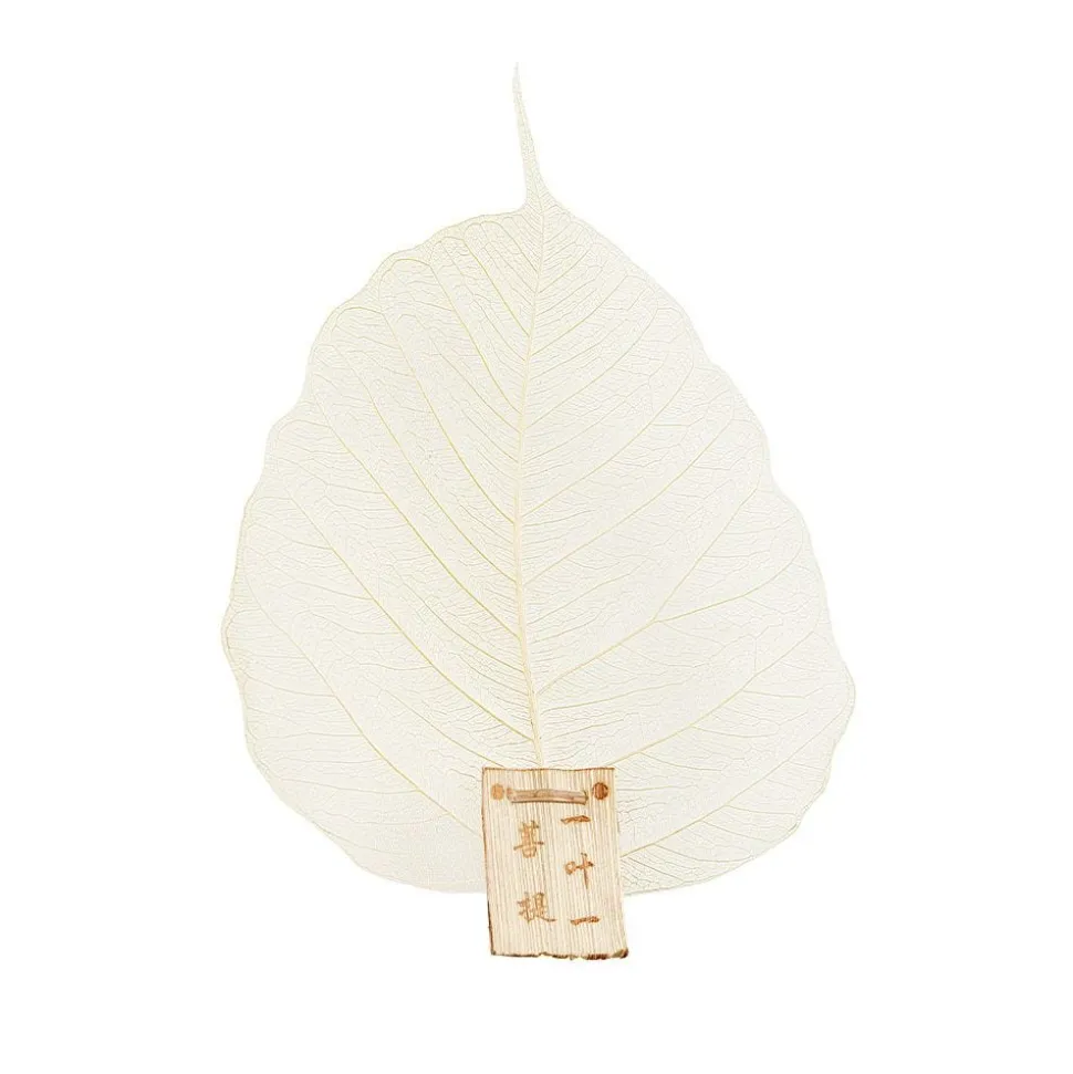 Les Feuilles de Bodhi - lot de 2