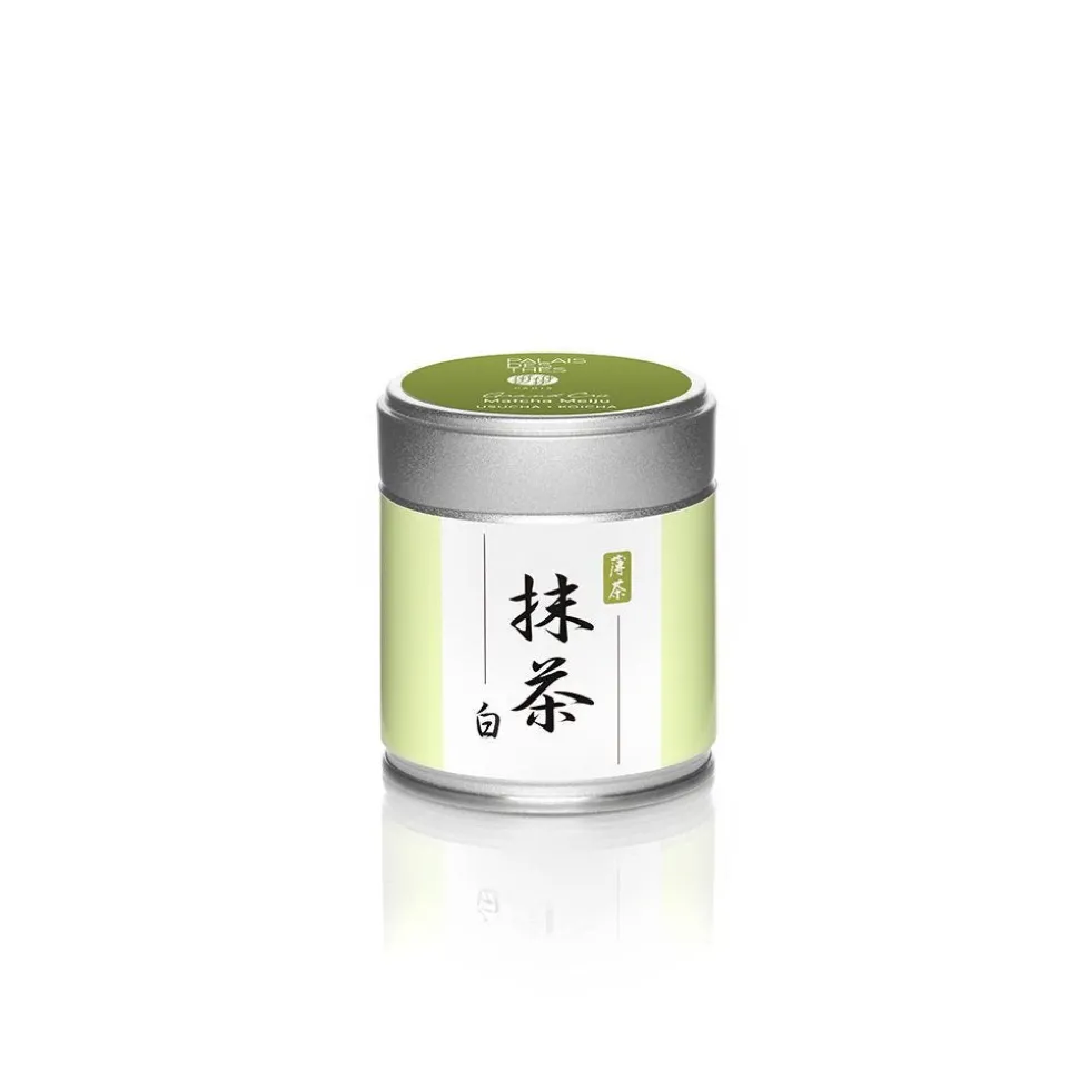 Matcha Shiro bio