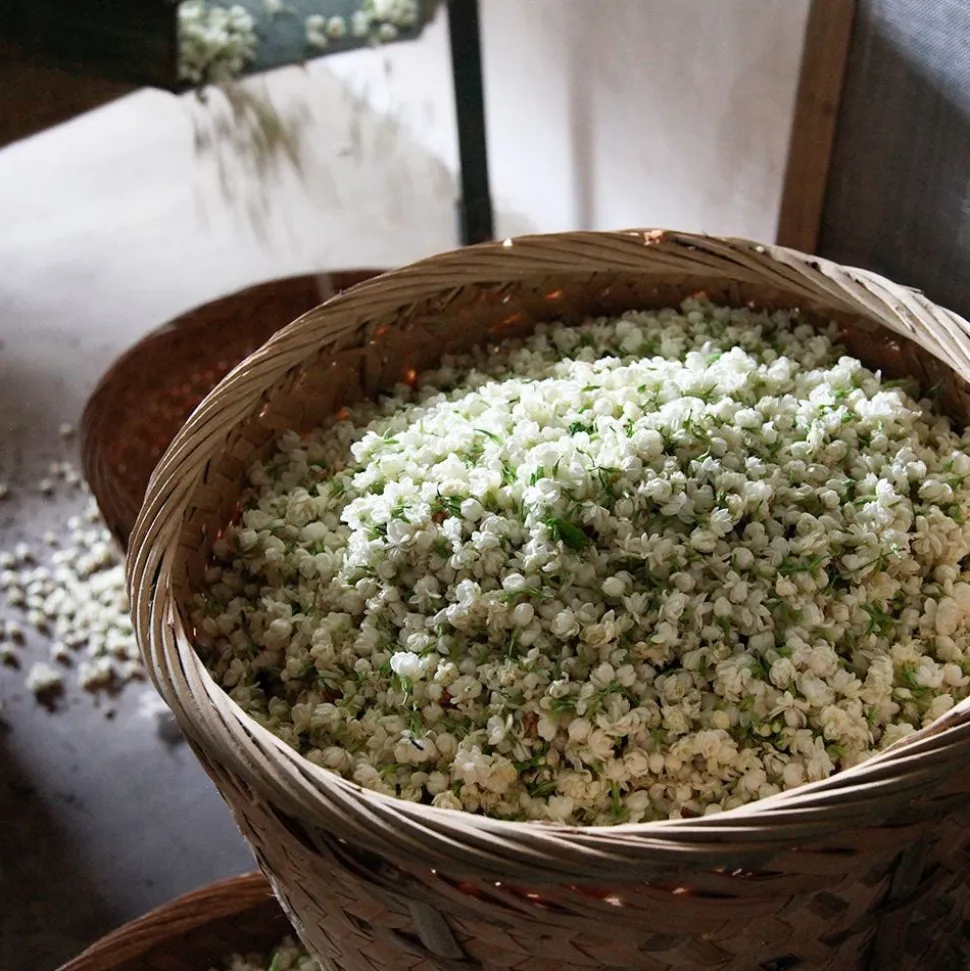 Perles de Jasmin