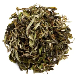 Secret Whispering bio