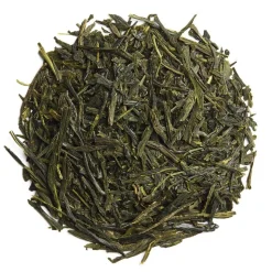 Sencha Ariake bio