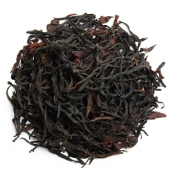 Théiers sauvages de Fengqing