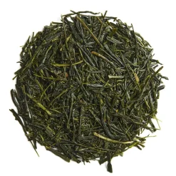 Yabukita Fuji