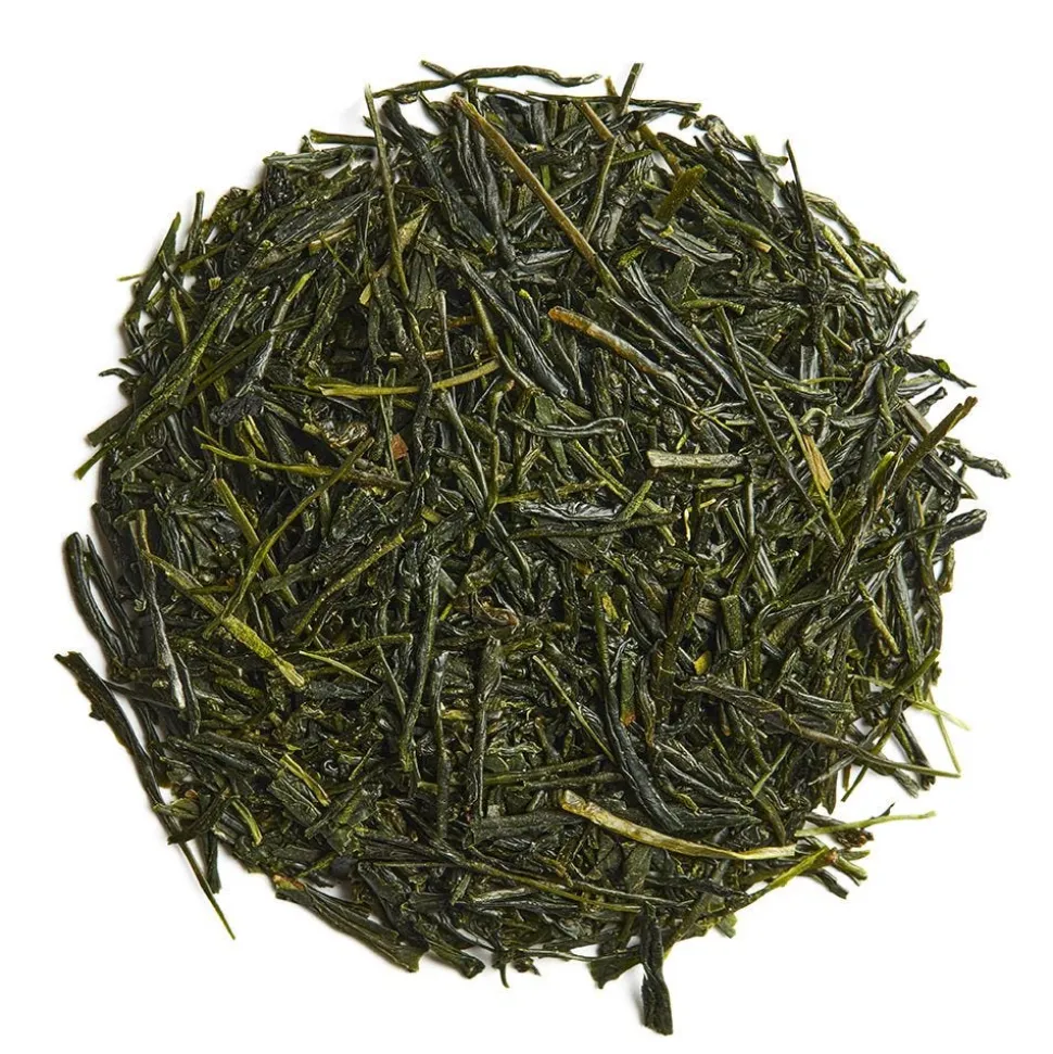 Yabukita Fuji